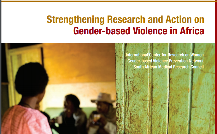 literature review on gender based violence in south africa