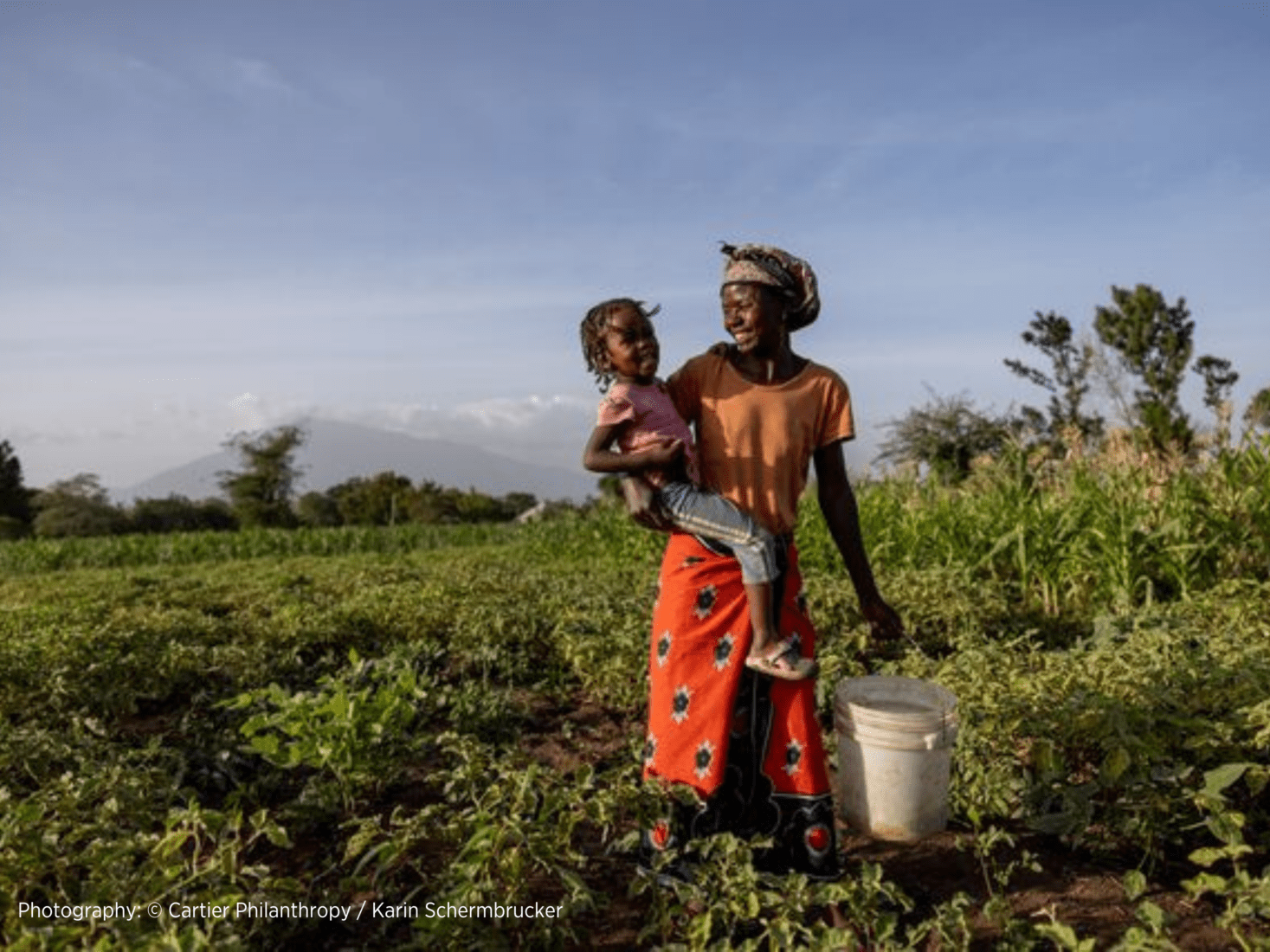 Gender Equitable Male Engagement (Tanzania and Rwanda)